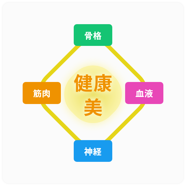 健康美の図式