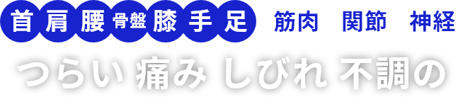 首、肩、腰、膝、手、足、筋肉、骨盤 辛い痛みしびれ不調の
